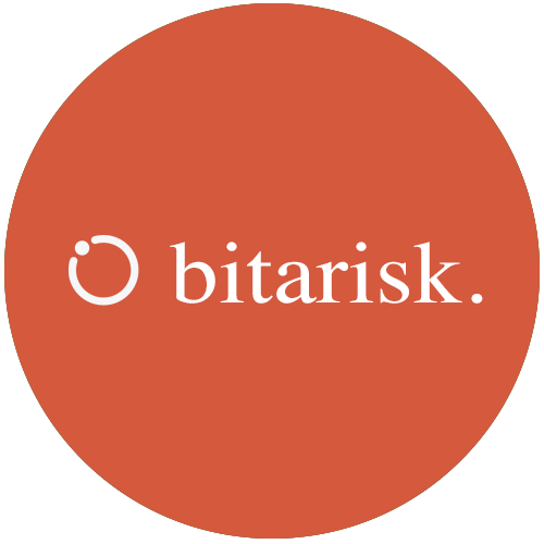 BITA Risk Fintech Software