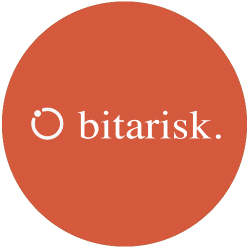 BITA Risk Fintech Software