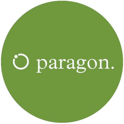 Paragon Fintech Software